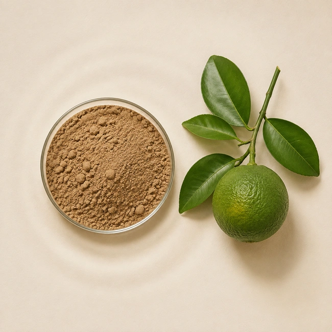 p-Synephrine Pharmaceutical Grade